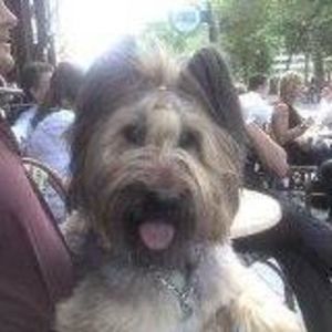 Meet your Posher, Roger